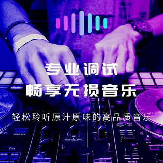 汽车载u盘柏林之声无损品质2024网红d亅歌曲车用mp3重低音乐优盘