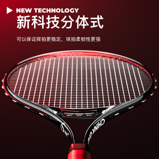 飞尔顿（FEIERDUN）FED网球拍网球训练器带绳穿线回弹球初学者大成人训练拍
