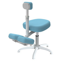 怡佳乐 YIJIALE）儿童学习椅小中学生座椅跪椅 蓝色-五爪普通版(1.1-1.45米)