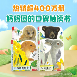 《亮丽精美触摸书系列》（全4册）