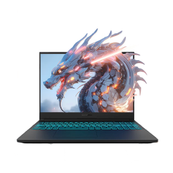 MECHREVO 机械革命 蛟龙16S 16英寸游戏本（R7-8845H、16GB、512GB、RTX 4060）