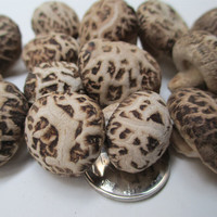 花菇哥 小冬花菇 直径2-3cm 500g 香菇