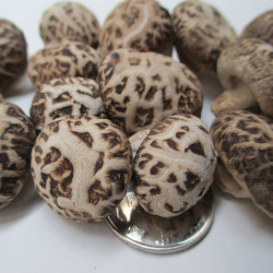 花菇哥 小冬花菇 直径2-3cm 500g 香菇