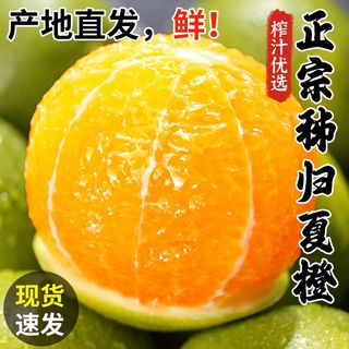 新鲜湖北秭归夏橙脐橙当季现摘水果酸甜榨汁橙4.5/8斤彩箱