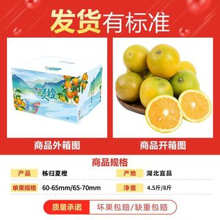 新鲜湖北秭归夏橙脐橙当季现摘水果酸甜榨汁橙4.5/8斤彩箱