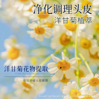 花王（KAO）护发素女干枯毛燥头发长效水润亮泽舒缓头皮长效洁味型750ML