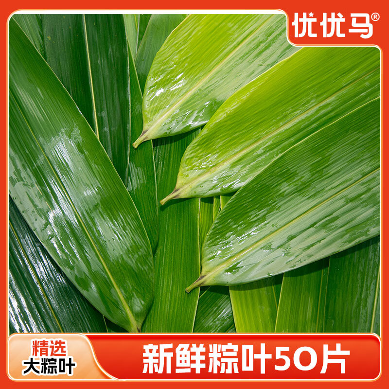优优马情田野生新鲜大号粽子叶农家箬竹叶端午节包粽子芦苇叶新鲜装