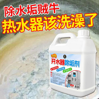 扬星热水器除垢剂开水器水垢清洁剂电水壶公共烧水器热水器水垢溶解剂 2500ml 1瓶