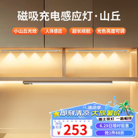 雷士 NVC   Lighting宿舍学习酷毙灯橱柜灯洗手间厨房条形小夜灯三色触控组合C