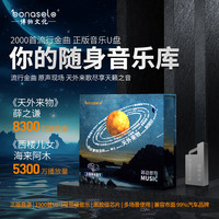 bonasolo车载U盘 薛之谦热歌张靓颖音乐2023高品质优盘视频抖音dj经典流行 32G 天外来歌U盘