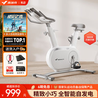 UTRY【麦.瑞克联名】动感单车自发电家用器室内自行车 绝影mini