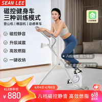 SEAN LEE三合一有氧动感单车家用无声磁控车燃脂减肥室内可折叠立式 月白【3档高度+8档阻力调节】