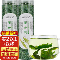 菊茗天下蒲公英茶【买2件=发3罐+杯】蒲公英叶炒制长白山婆婆丁花草茶 【50克】