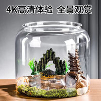 悠梵萌乌龟缸生态鱼缸一体缸造景特大号塑料客厅家用带水培盘1个装 生态乌龟缸带水培盆