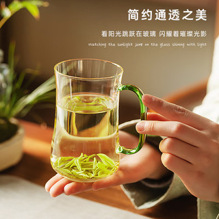 忆壶茶泡茶杯玻璃水杯耐热高硼硅喝茶杯透明防烫手家用绿茶杯功夫茶具