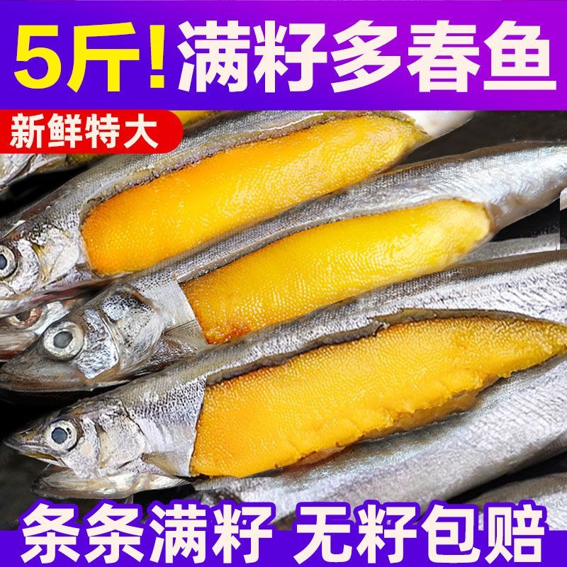 多春鱼满籽新鲜多籽鱼 5斤