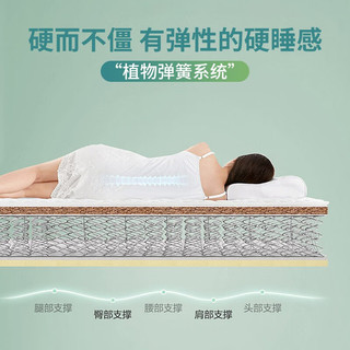 富安娜床垫 弹簧椰棕护脊硬床垫 科技布乳胶床垫 席梦思床垫 佳梦A款加硬型20cm-椰棕+整网弹簧 1.5*2米