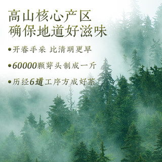 狮峰牌明前碧螺春2024新茶特级精选春茶冷泡绿茶叶100g店