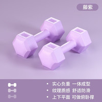 艾美仕(AiMeiShi)哑铃女士家用器材儿童男士套装组合瑜伽练臂肌包胶小哑铃一对 经典六角/藤紫色 2KG*2只