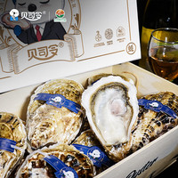 贝司令（BEISILING）【活鲜】乳山生蚝鲜活可生食海鲜贝类即食 3XL*12只 木箱礼盒装