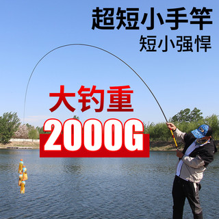浮生（fusheng） 溪流竿超短节袖珍鱼竿迷你便携短节手竿碳素超轻超硬手杆钓鱼竿 超硬28调3.6米+前三节+礼包
