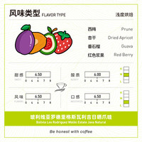 fisher 玻利维亚罗德里格斯瓦利吉日晒爪哇 手冲咖啡豆100g/N3