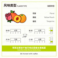 fisher啡舍 哥斯达黎加蜜处理花香橙子瑰夏 浅烘焙手冲咖啡豆100g