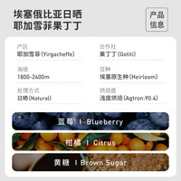 【新产季】fisher埃塞俄比亚日晒果丁丁 浅烘手冲咖啡豆优雅莓果