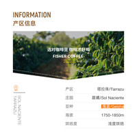 【超级咖啡】fisher哥斯达黎加晨曦庄园日晒瑰夏 精品手冲咖啡豆