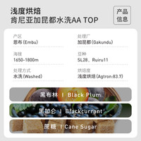 Fisher啡舍 肯尼亚加昆都处理厂水洗AA 手冲咖啡豆227g/N2N3