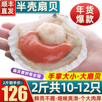 首鲜道 国产半壳大扇贝鲜活冷冻海鲜 半壳大扇贝1000g 10-12个