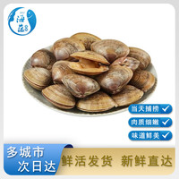 海蕴极鲜【活鲜】鲜活黄蚬子 新鲜丹东原产地捕捞蛤蜊烧烤食材 2500g （5斤）