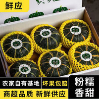 鲜应山东贝贝南瓜 栗香小南瓜 轻食 新鲜蔬菜粉糯香甜 老少皆宜 5斤整箱【净重4.5斤】