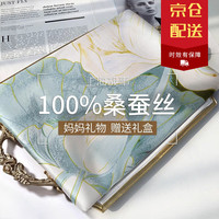 达芬奇密码 真丝丝巾女春秋高档桑蚕丝纱巾围巾女披肩款母亲节 荷韵悠悠 浅绿