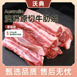 沃典 巴西原切牛肋肉肋条净重2斤 牛肉生鲜去骨牛胸腹肉 烧烤炖煮食材