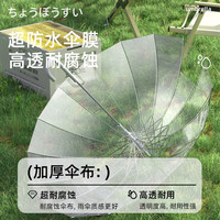 天玮16骨透明雨伞长柄伞大号双人女白色高颜值氛围感雨伞加大