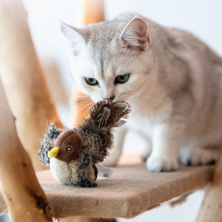 贵为（GiGwi）炫律发声猫玩具小猫幼猫自嗨解闷逗磨牙耐咬猫咪玩具逗猫棒蓝鹦鹉