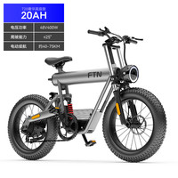 FTN 电动自行车锂电池电瓶车20英寸沙滩越野雪地车7档变速助力车 高座奢华版 48v20Ah纯电40-75km