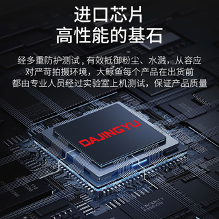DAJINGYU V30高速读写 256GB SD存储卡