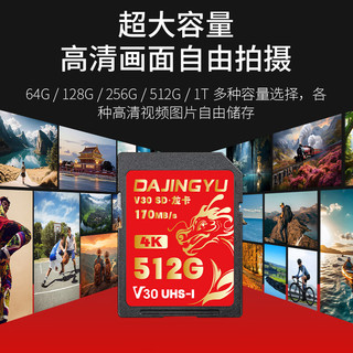 DAJINGYU V30高速读写 256GB SD存储卡