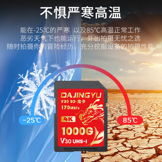DAJINGYU V30高速读写 256GB SD存储卡