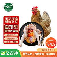 白荡里 黄油老母鸡2~2.2斤*2只  走地鸡月子鸡营养滋补食材 源头直发