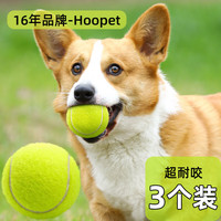华元宠具(hoopet)狗狗玩具网球耐咬磨牙自嗨解闷中大型犬消耗体力宠物用品