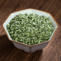 淘茶飘香特级明前碧螺春茶叶2024新茶苏州高山绿茶浓香型250g