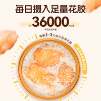 梦岭南花胶粥即食 鱼胶礼盒碗装 杨枝甘露椰香银耳羹