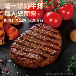 联豪食品 菲力牛排儿童套餐10片1500g新鲜牛肉轻食牛排宝宝爱