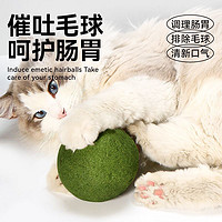 88VIP：疯狂的主人 猫玩具猫薄荷球超大自嗨解闷神器猫咪用品大全逗猫棒宠物玩具磨牙