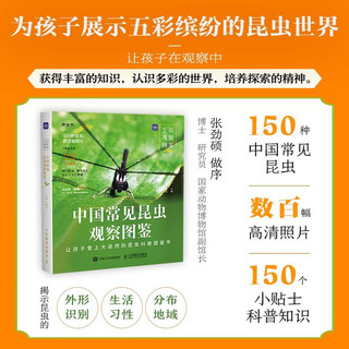 生活观察图鉴 中国常见昆虫观察图鉴（优枢学堂）