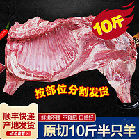 艾克拜尔 原切羊蝎子羊肉 烧烤火锅食材带骨羊肉10斤