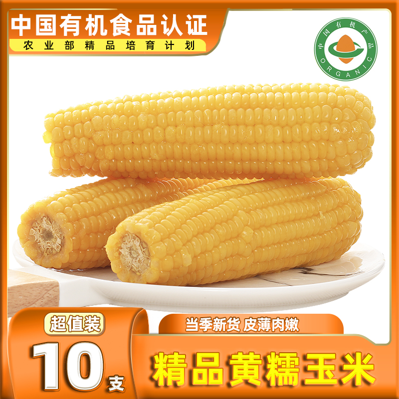 【蜜蜂惊喜社】有机糯米玉米糯玉米棒新鲜黄糯粘黏真空装包装袋糯